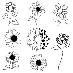 Flowers Plant Decoration Vector Art Design