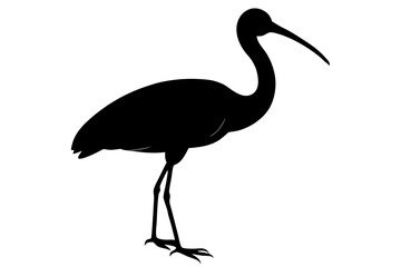 Roseate Spoonbill silhouette vector illustration