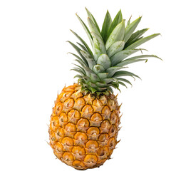 Fototapeta premium Pineapple isolated