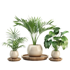 Set of Houseplants no background