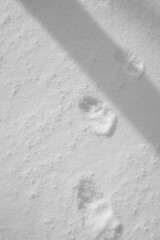 Mont Singer 28 Mars 2025 - N&B