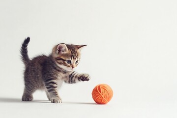  A playful kitten batting at a ball of yarn, set against a pure white backdrop. 