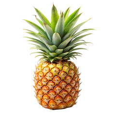 Fototapeta premium Pineapple isolated on transparent background 