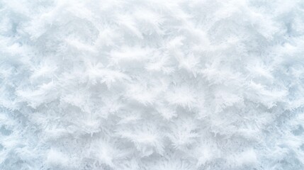 Fototapeta premium Detailed Frost Texture on Cold Surface with Unique Patterns
