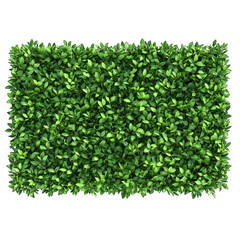 Obraz premium Rectangular Boxwood Shrubs for Green Fence isolated on transparent background