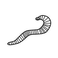 Leech Therapy Vector Line Icon