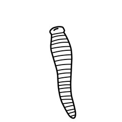 Leech Therapy Vector Line Icon