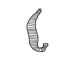 Leech Therapy Vector Line Icon