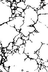 Black and white marble stone texture background