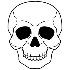 Hollow eyed skull with cracks line art vector illustration 