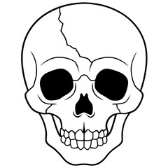 Hollow eyed skull with cracks line art vector illustration 