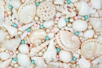 Seashell and white blue and pink oyster pearls background with white shells. Nature marine life decorative composition for summer greeting card.
