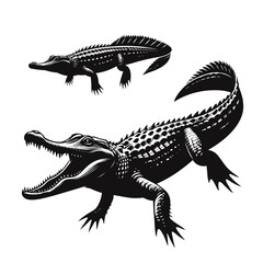 Fototapeta premium Alligator silhouette black color vector 