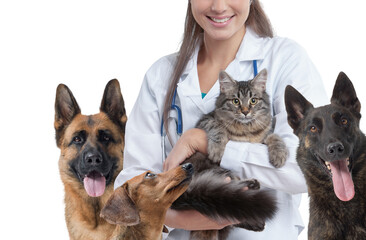 Smiling veterinarian and happy pets