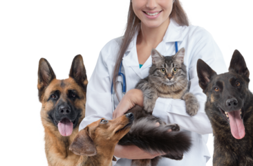 Smiling veterinarian and happy pets
