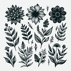 Hand-Drawn Botanical Flower Line Art Illustrations Nature Design Set, Botanical Line Art Flower Illustrations Set