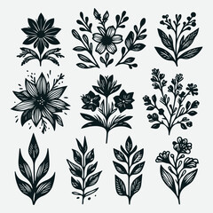Hand-Drawn Botanical Flower Line Art Illustrations Nature Design Set, Botanical Line Art Flower Illustrations Set