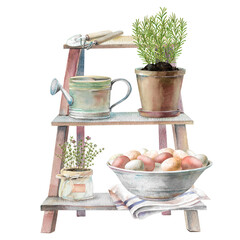 Wooden garden ladder with bowl full of chicken eggs on kitchen towel, potted rosemary and thyme, garden shovel, rake and watering can. Hand drawn rustic watercolor illustration for farmhouse design © Eva Kleinman