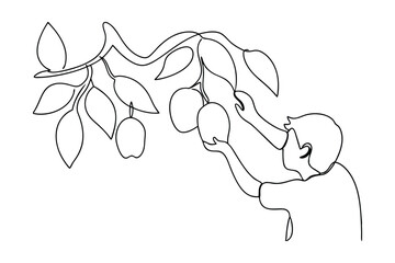Boy Reaching for Mangoes on a Lush Branch, Single Line Art