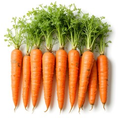 Fresh carrots isolated on white background. Healthy eye vegetable.