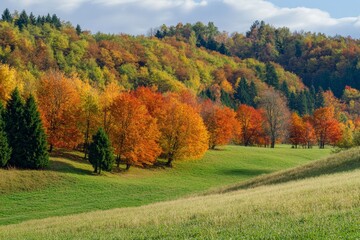 Autumn Splendor Near Varese Lake: Vibrant Foliage and Mistletoe in High-Resolution DSLR Capture