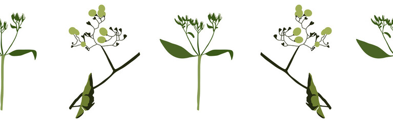  Leaves border on a white background. Hand-drawn illustration. Perfect for spring and summer.