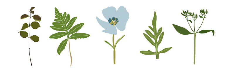 Green nature set on a white background. Hand-drawn illustration. Perfect for spring and summer.	