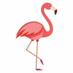 A stylized pink flamingo standing on one leg with a white background in a vector image