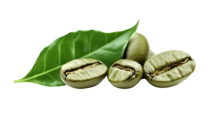 Fresh Green Coffee Bean with Leaf Isolated on White Background Raw Organic Coffee Seeds for Natural Energy and Antioxidant Benefits