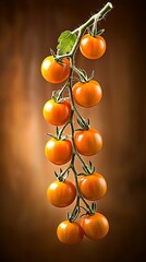 Vine of Orange Cherry Tomatoes.