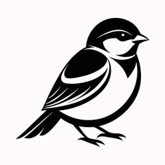 penguin on a white background