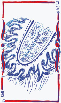 Hand drawn style Tarot cards