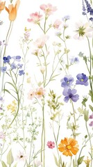 Beautiful seamless floral water color pattern Set, watercolor wild flowers, leaves and grass,Collection botanic garden elements, isolated illustration in rustic or vintage style,copy space.