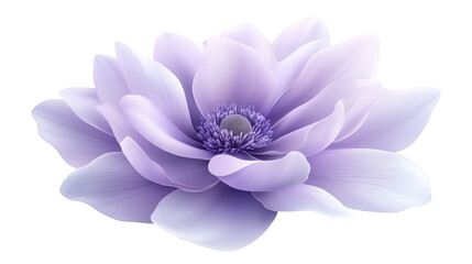 Obraz premium Striking purple flower on black, a stunning closeup for nature lovers purple