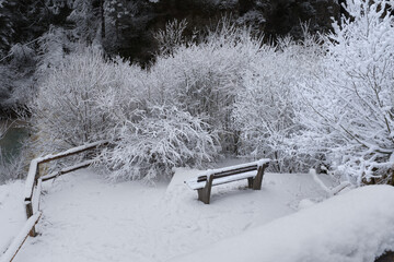 A serene winter landscape with a snow-covered bench surrounded by frosty trees and bushes,...
