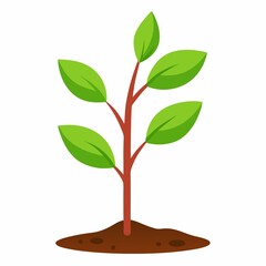 Illustration of a young plant with green leaves and brown stem growing from brown soil