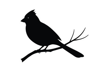 Silhouette of a cardinal perched on a branch vector illustration.eps