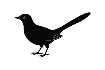 Silhouette of a cuckoo bird standing on the ground vector illustration.eps