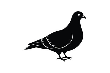 Silhouette of a dove standing on the ground vector illustration.eps