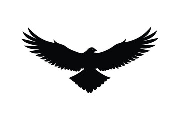 Silhouette of a hawk in flight with its wings spread wide vector illustration.eps