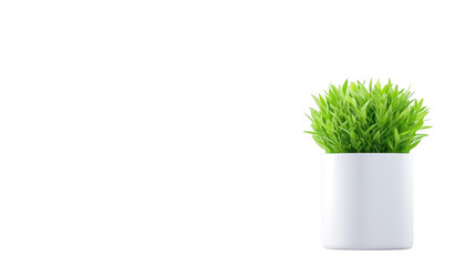 Elegant white vase with verdant greenery, a touch of nature for your home or office decor