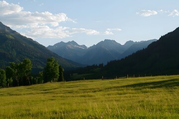 Fototapeta premium Mountain valley with grassy field and trees beneath a cloudy sky