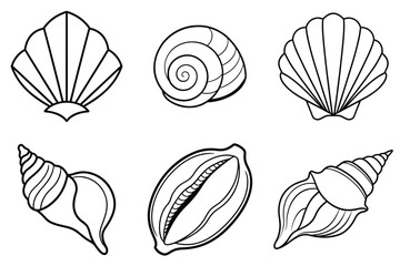 Sea Shell Collection, Set of Shell