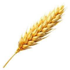 Golden Wheat Ear, Grain, Cereal, Agriculture
