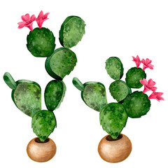 Cute green cactus with flowers. Watercolor illustration. Perfect for cards and greetings. The illustration is suitable for decorating clothes and stationery for children.