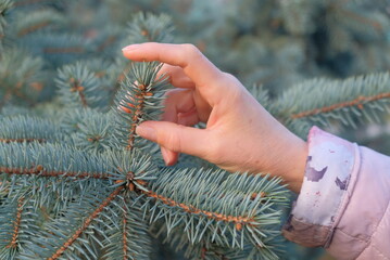 hand holding christmas tree