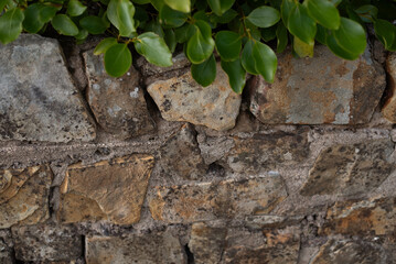 Rustic stone wall in earthy tones topped with vibrant green leaves, showcasing harmony between natural constructed elements. Fence made of large processed stones