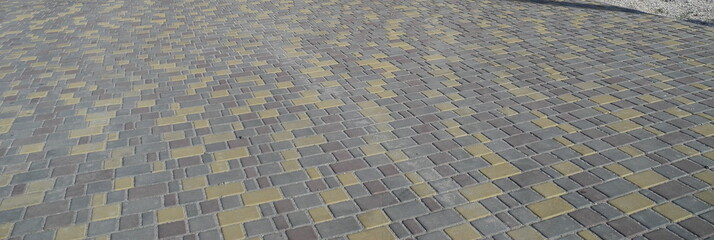 sand dunes in the morning