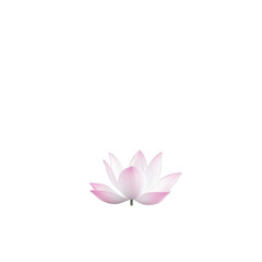 Obraz premium A beautiful pink lotus flower with delicate petals, isolated on a white background, symbolizing purity and tranquility.