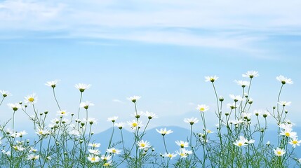 Colorful dai dais flourishing in a field under a clear sky surrounded by nature's beauty